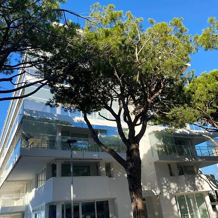 Apartment Palm 80 Mt Dal Mare E Comodo Per Venezia